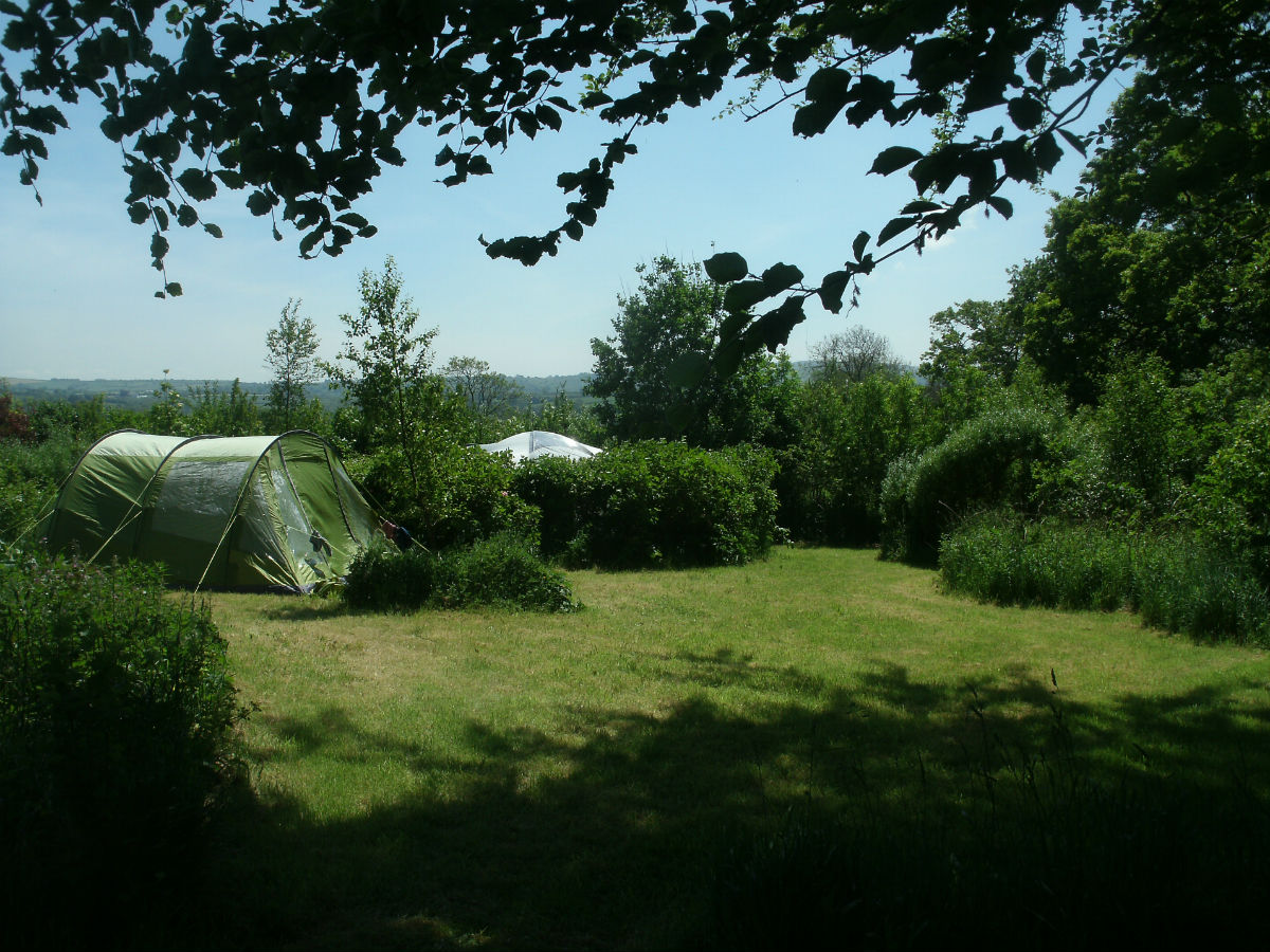 Secluded camping pitches - Northlodge eco-camping